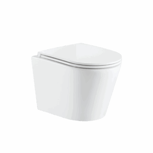 Evora rimless wall hung pan,  S/C seat & quick release hinges